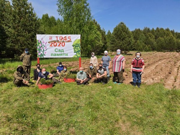 Более 300 тысяч деревьев высадят в Нижегородской области в рамках международной акции «Сад памяти»