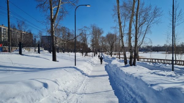 Активисты ОНФ выявили нарушения в уборке снега в скверах Нижнего Новгорода