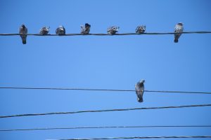 Последние выходные марта обещают быть теплыми и солнечными