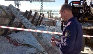 Уголовное дело о гибели рабочего возбудили в Шахунском районе