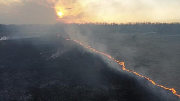 Кладбище едва не сгорело в Богородске