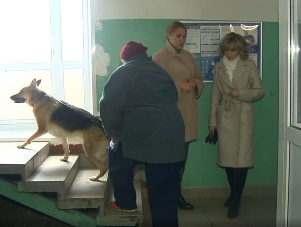 Госжилинспекция помогает нижегородцам решить проблемы с содержанием домов и качеством коммунальных услуг