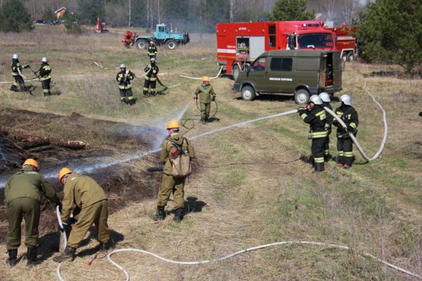 Сухая растительность горит в Нижегородской области