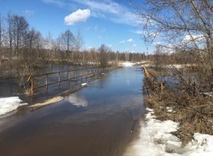 Девять мостов подтопило во время паводка в Нижегородской области