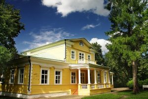 В конном дворе музея-заповедника А.С. Пушкина в Большом Болдино появился жеребенок пони