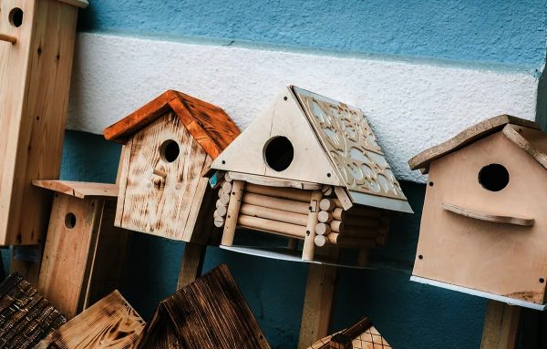 «Апартаменты» для птиц установят в парке «Швейцария»