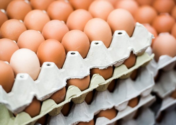 Антимонопольная служба организовала проверку из-за подорожания яиц