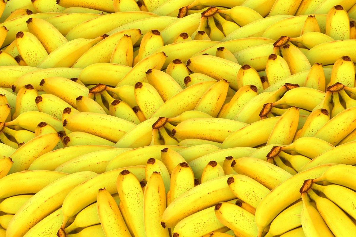 В Ассоциации торговли опроверги слухи о дефиците бананов в России