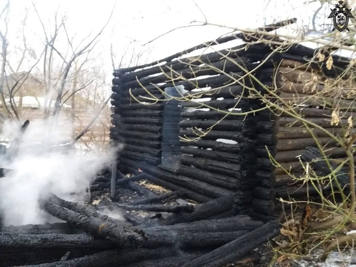 Тело мужчины обнаружили в сгоревшем заброшенном доме в Большеболдинском районе