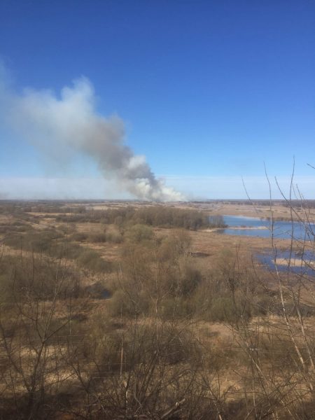 Пожар на Артемовских лугах ликвидировали