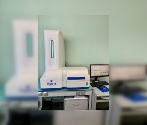 Учёные ННГУ разработали приложение для определения биологического возраста