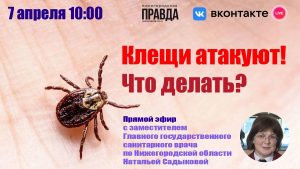 LIVE: Как противостоять клещам и что с ними делать?