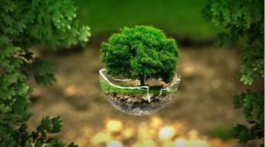 Нижегородские школьники и&nbsp;студенты приглашаются к&nbsp;участию во&nbsp;Всероссийском конкурсе «Планета — наше достояние»