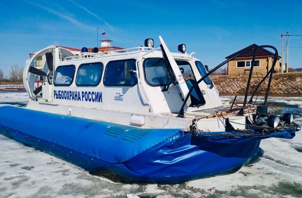 С&nbsp;15&nbsp;апреля на&nbsp;Горьковском водохранилище начинается нерест рыбы