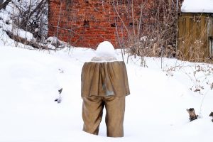 Памятник Максиму Горькому из парка имени Кулибина установят в Ковалихинском сквере