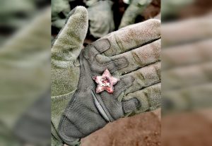 Останки 40 красноармейцев обнаружили поисковики нижегородского отряда «Курган»