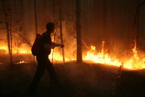 В Нижегородской области запретили разжигать костры из-за высокой пожароопасности