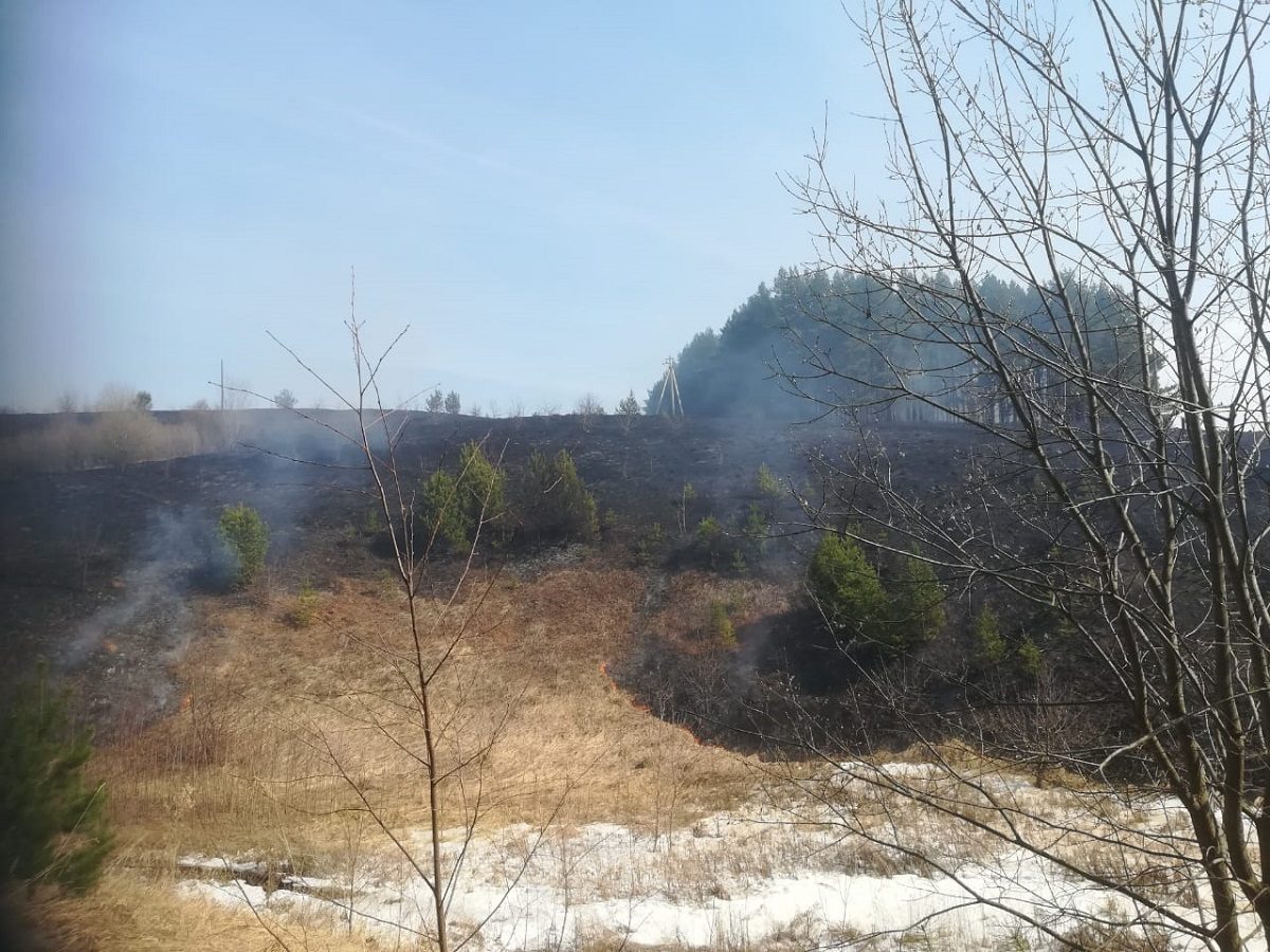 Глеб Никитин: «С 19 апреля на территории Нижегородской области вводится особый противопожарный режим»