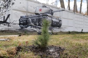 80 кедров посадили в&nbsp;Парке Победы в&nbsp;рамках акции «Сад Победы»