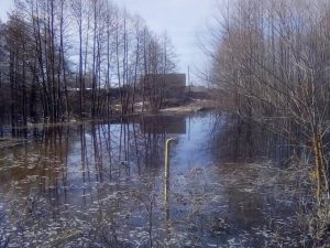 Жители села Натальино вынуждены плыть по дороге на лодках из-за паводка