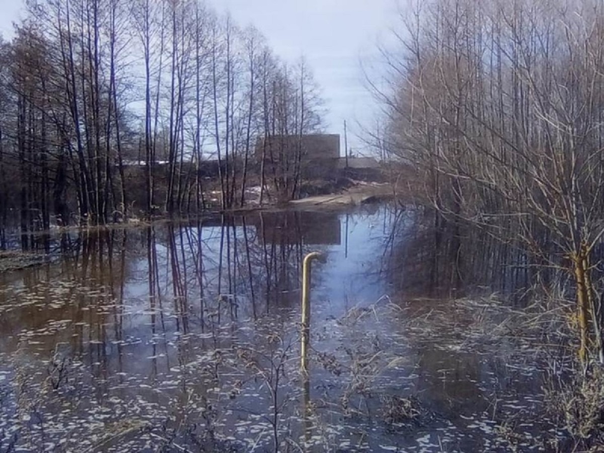 Дорогу к пяти домам затопило в селе Натальино Навашинского района Нижегородской  области 14 апреля 2021 года | Нижегородская правда