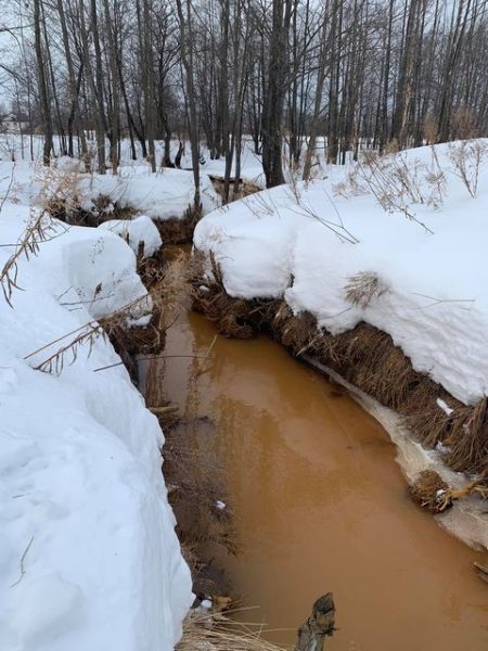 Осадок, обнаруженный в борской реке Везлома, оказался безопасным