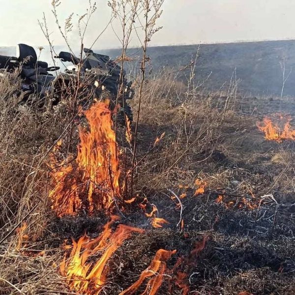 В Павлово потушен крупный пожар сухой&nbsp;травы