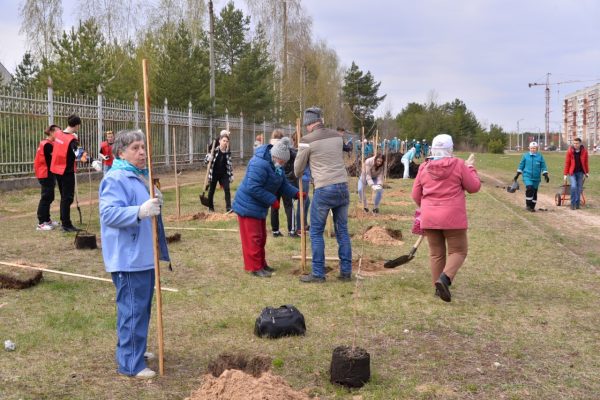 Первые 60 деревьев высажены в Дзержинске в рамках акции «Сад Памяти»