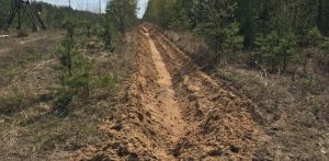 Противопожарные полосы проложили в нижегородских лесах