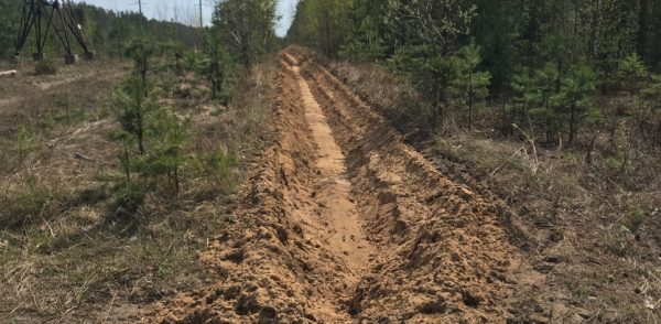 Противопожарные полосы проложили в нижегородских лесах