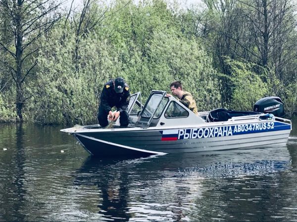 Нижегородская область присоединилась к Всероссийскому дню без сетей