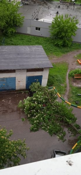 Рухнувшие деревья и слетевшая крыша: смотрим последствия урагана в Нижнем Новгороде