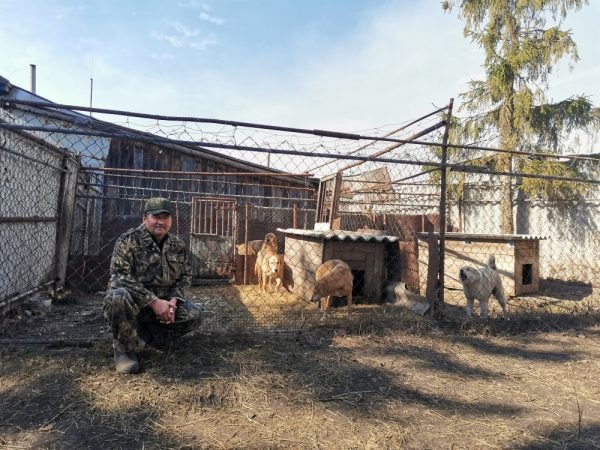 «Когда собаки гонят зверя, дрожь по всему телу»: охотник Степан Масягин рассказал о своем увлечении