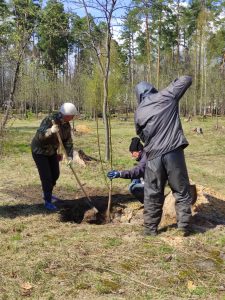 Житель Выксы подарил парку саженцы грецкого ореха