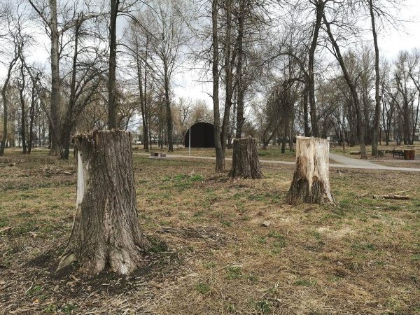 Парк в Ворсме пришел в запустение через три года после благоустройства
