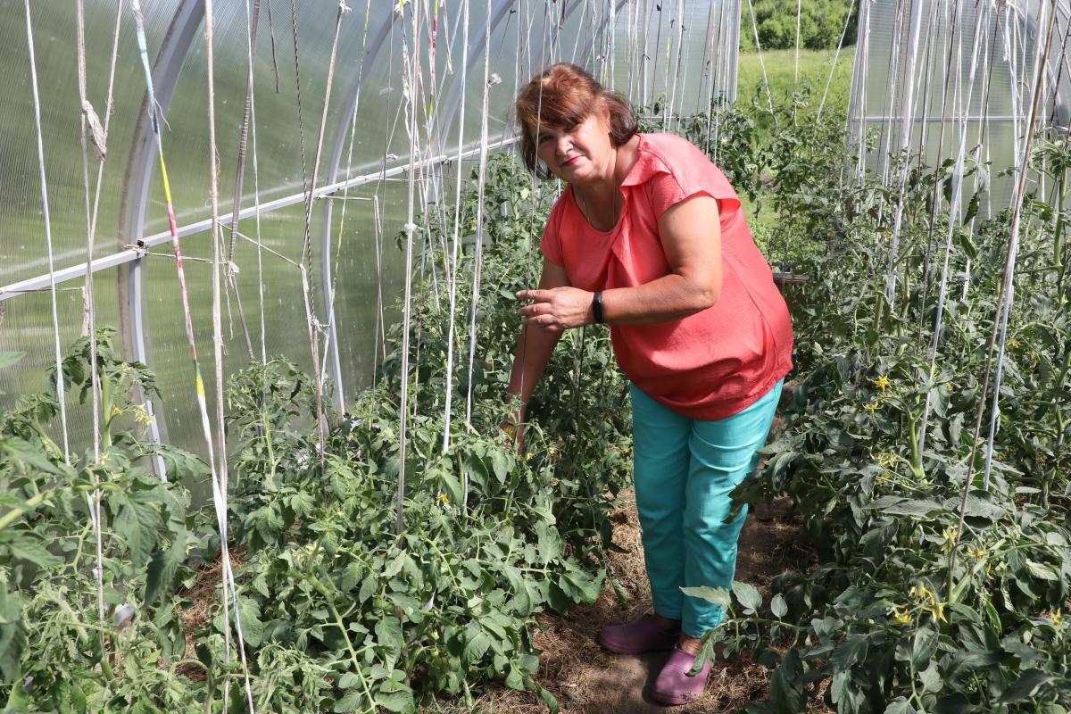 Что изменится в жизни нижегородских дачников с 15 апреля 2022 года |  Нижегородская правда