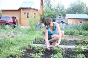 Закон от дачи: почему в Нижегородской области растёт спрос на загородную недвижимость