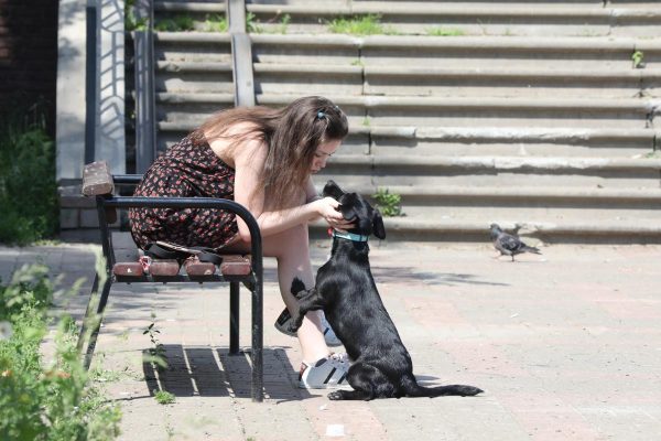 В нижегородском парке «Швейцария» временно запретили выгул&nbsp;собак