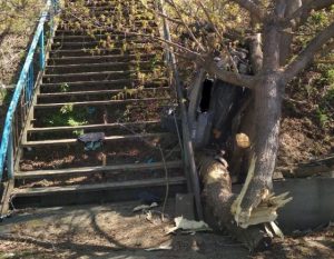 Пьяный рыбак чудом остался жив, вылетев на машине в кювет в Нижегородской области