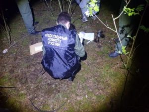 Следственный комитет возбудил уголовное дело об убийстве 12-летней девочки в поселке Большое Козино