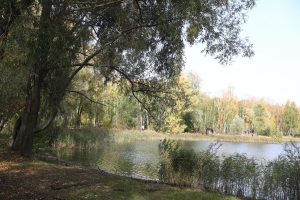 Девять городов Нижегородской области подготовили заявки для Всероссийского конкурса малых городов и&nbsp;исторических поселений