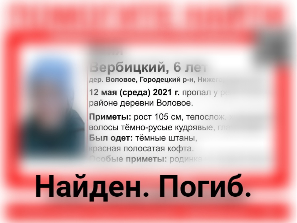 Пропавший шестилетний мальчик в Нижегородской области найден погибшим