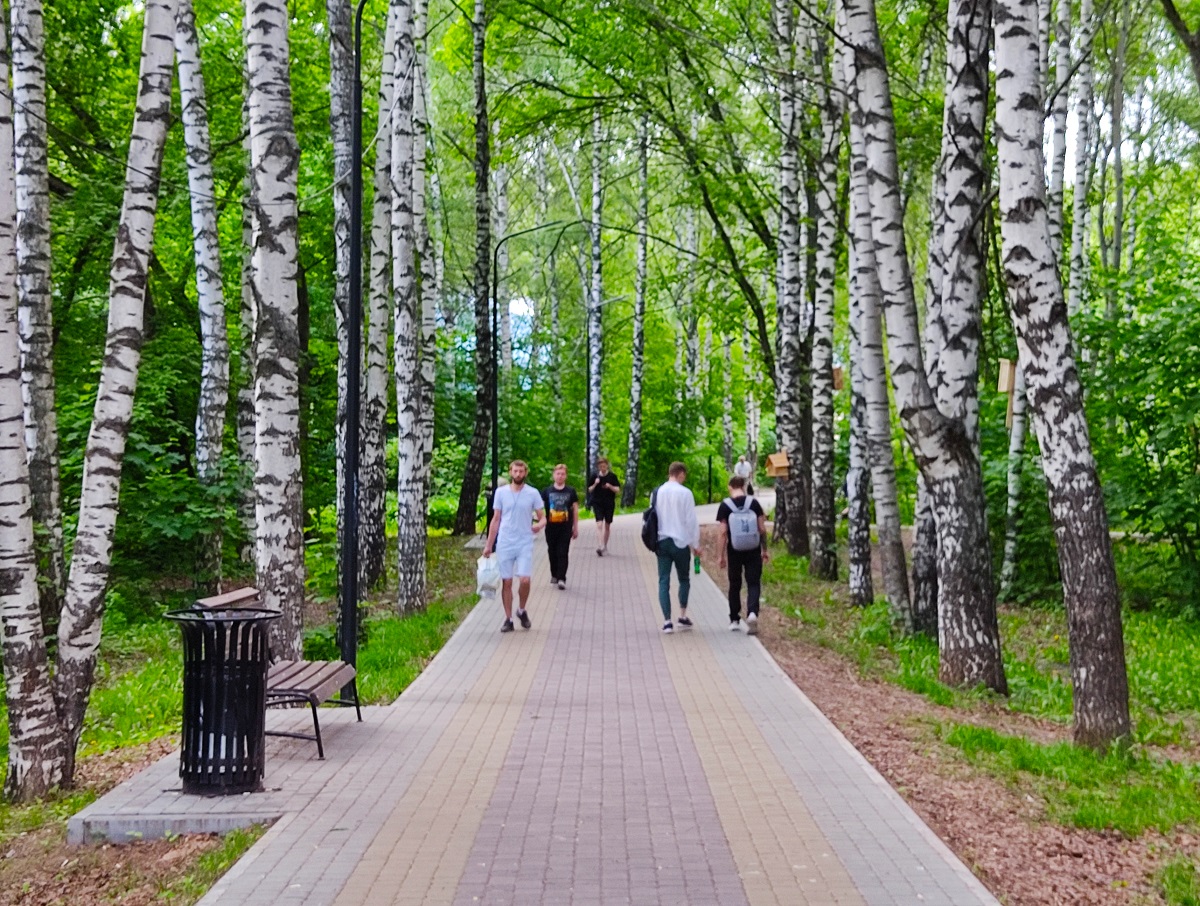Пушкинский парк - это одна из крупных зеленых территорий в центре Нижнего Новгорода
