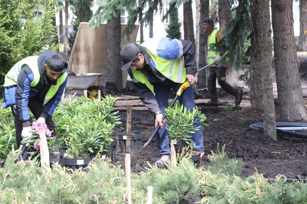 Фудкорт, общественные туалеты и детская площадка: что появится в Нижегородском кремле к 800-летию города