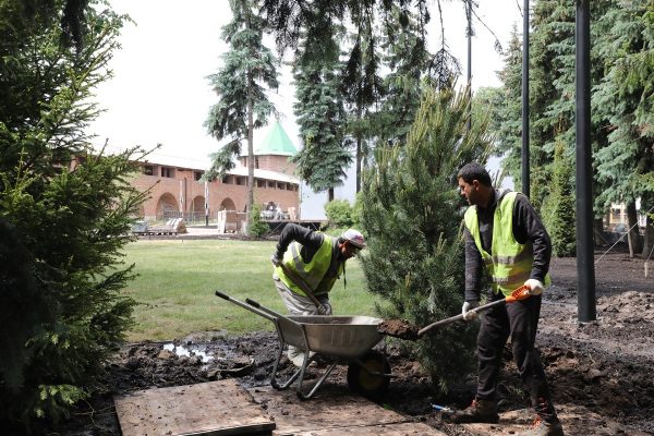 Озеленение Нижегородского кремля обойдется в 73,4 млн рублей