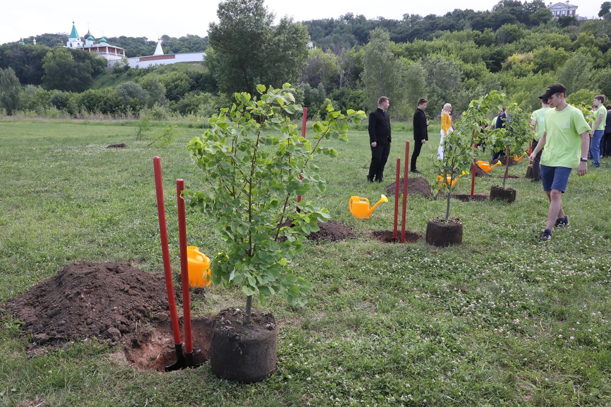 В ходе мероприятия, приуроченного ко Дню России, высадили 600 деревьев