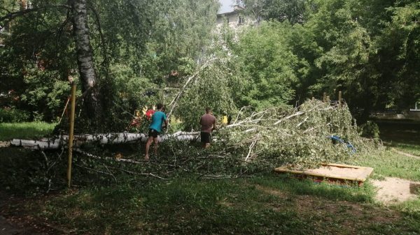 >Более 200 деревьев повалило шквалистым ветром в Нижнем Новгороде