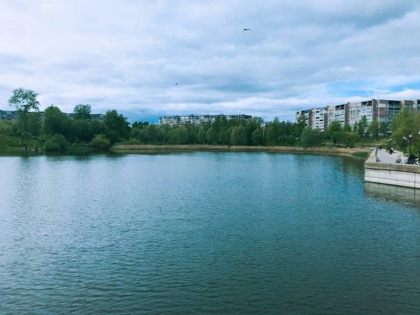 Мужчина утонул в Мещерском озере в Нижнем Новгороде