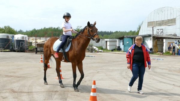 Фестиваль верховой езды для детей с ограниченными возможностями здоровья прошёл в Нижнем Новгороде