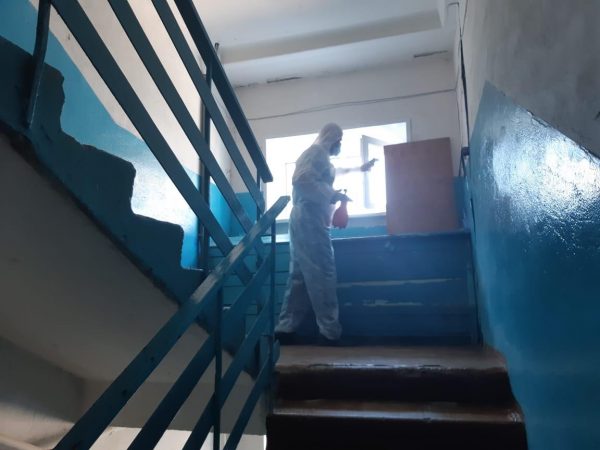 Нежеланное соседство: кто в ответе за насекомых в подъезде